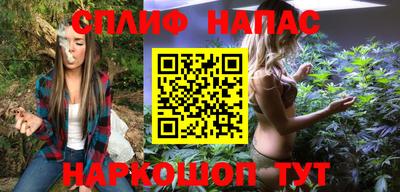 прущие грибы Гатчина