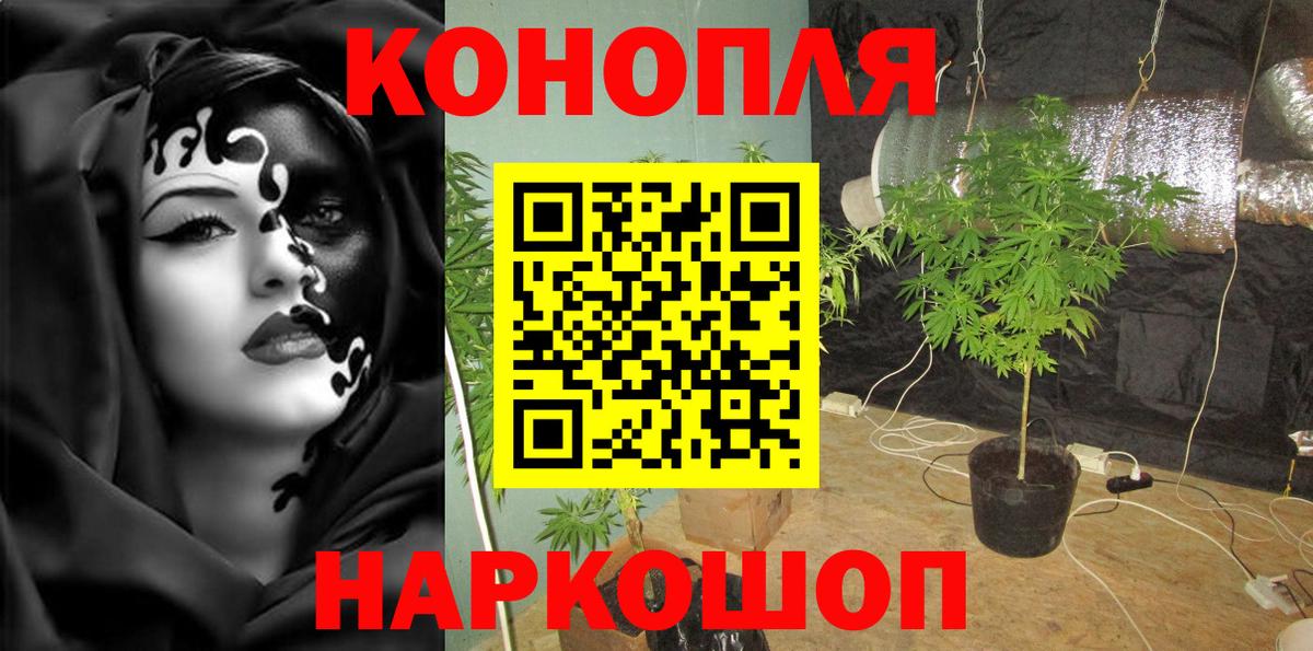 Шишки марихуана Amnesia Нефтекумск